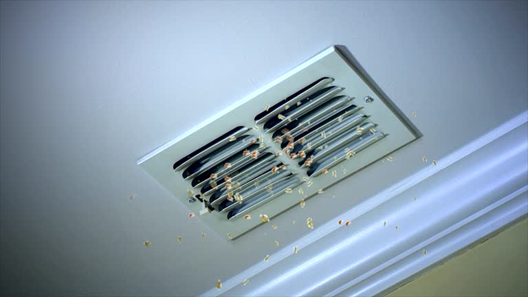 Best Air Duct Cleaning Company Near Me  in Sullivan, IN